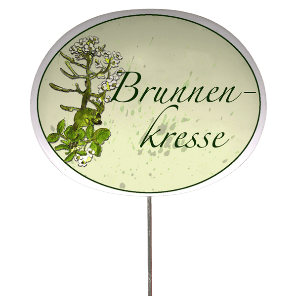 Kräuterschild mit Pflanzenskizze (verschiedene Motive)