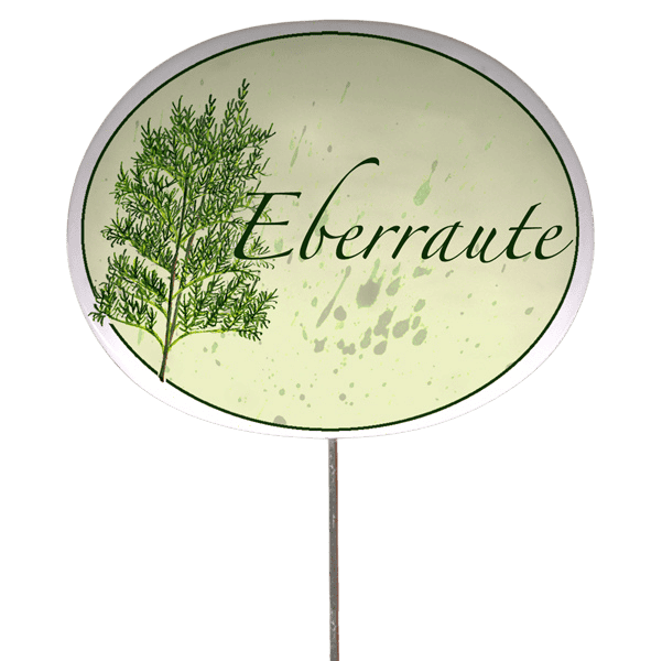 Kräuterschild mit Pflanzenskizze (verschiedene Motive)