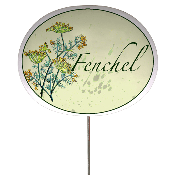 Kräuterschild mit Pflanzenskizze (verschiedene Motive)