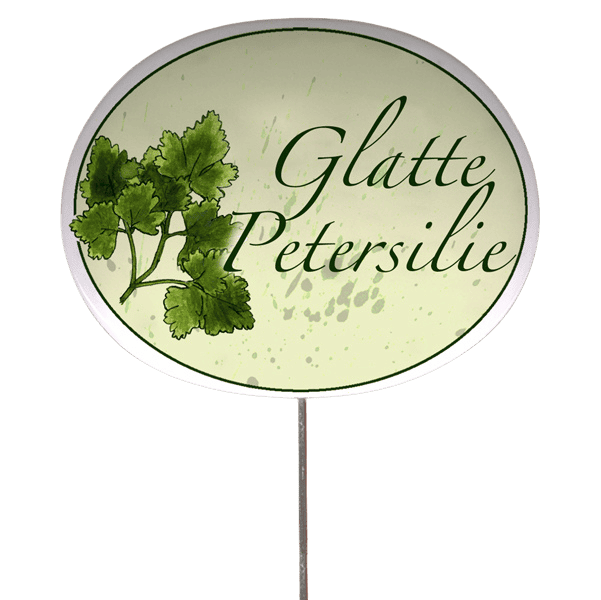 Kräuterschild mit Pflanzenskizze (verschiedene Motive)