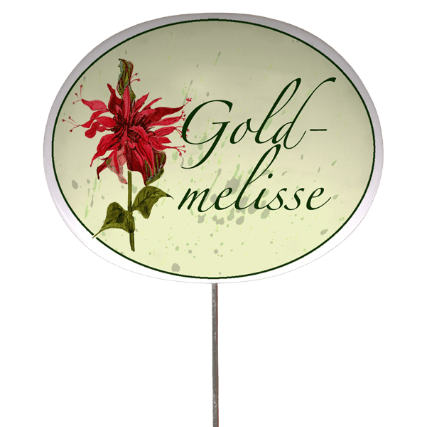 Kräuterschild mit Pflanzenskizze (verschiedene Motive)