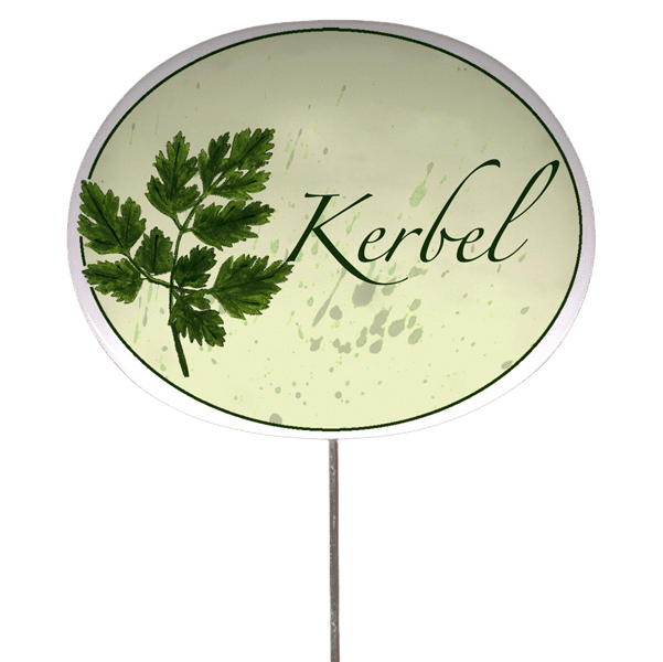 Kräuterschild mit Pflanzenskizze (verschiedene Motive)
