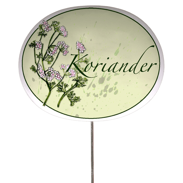 Kräuterschild mit Pflanzenskizze (verschiedene Motive)