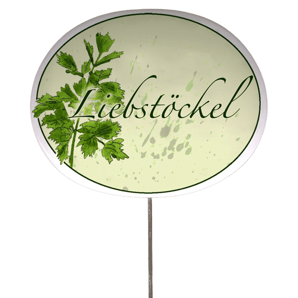 Kräuterschild mit Pflanzenskizze (verschiedene Motive)