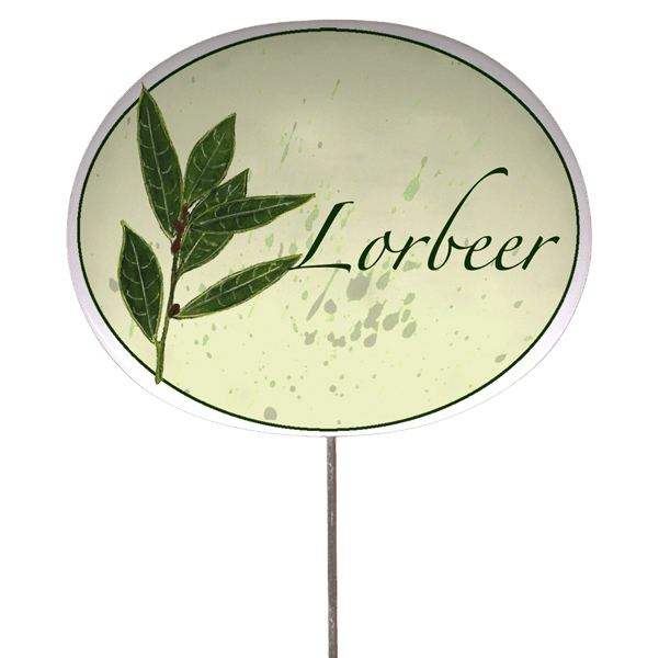 Kräuterschild mit Pflanzenskizze (verschiedene Motive)