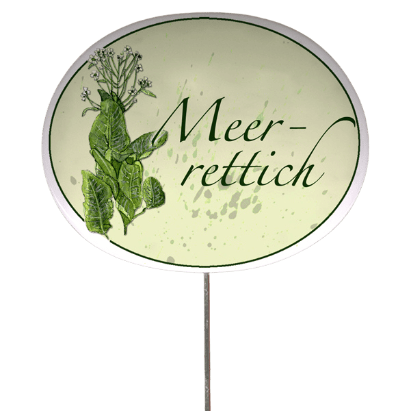 Kräuterschild mit Pflanzenskizze (verschiedene Motive)