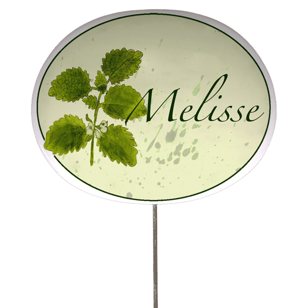 Kräuterschild mit Pflanzenskizze (verschiedene Motive)