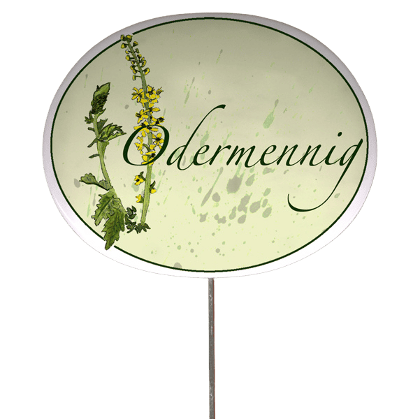 Kräuterschild mit Pflanzenskizze (verschiedene Motive)