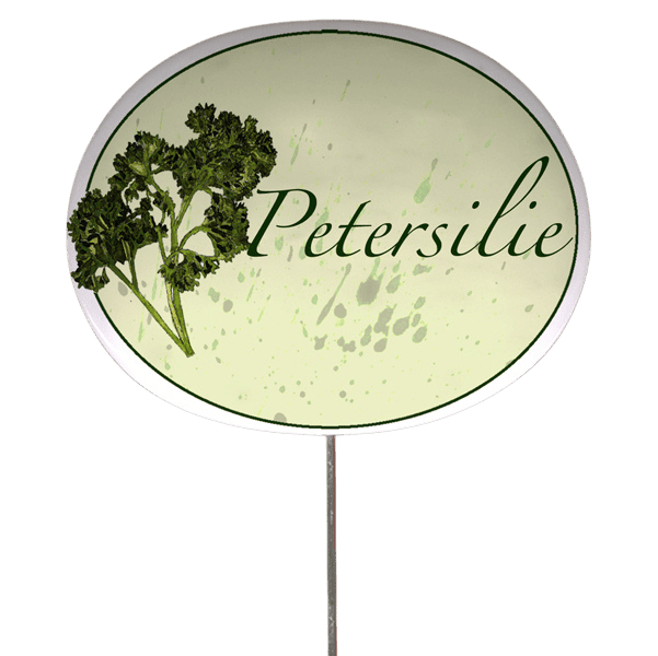 Kräuterschild mit Pflanzenskizze (verschiedene Motive)