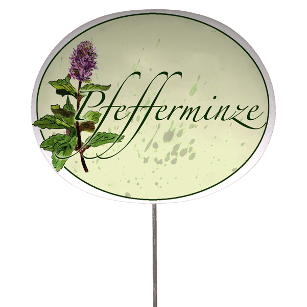 Kräuterschild mit Pflanzenskizze (verschiedene Motive)