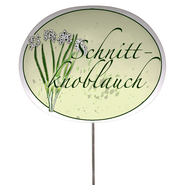 Kräuterschild mit Pflanzenskizze (verschiedene Motive)