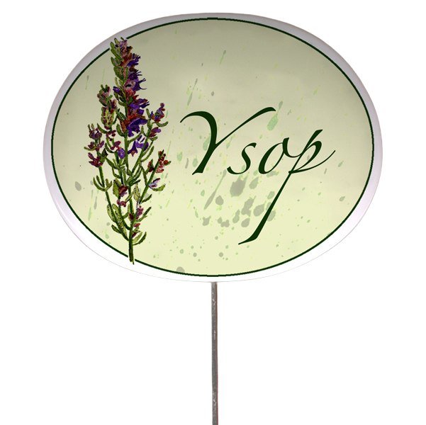 Kräuterschild mit Pflanzenskizze (verschiedene Motive)
