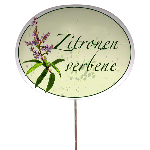 Kräuterschild mit Pflanzenskizze (verschiedene Motive)