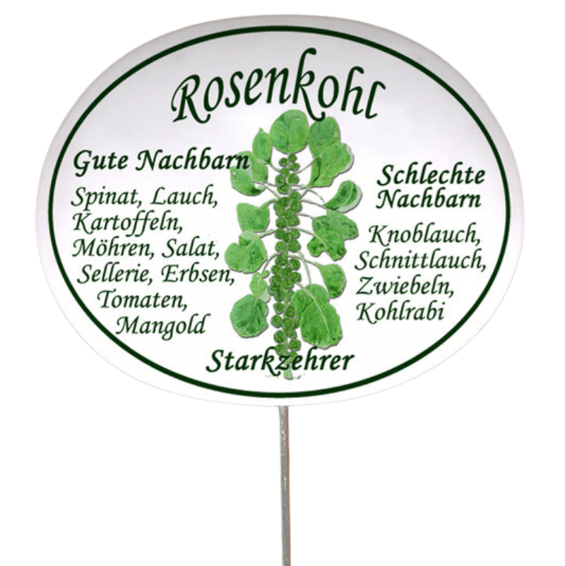 Gemüseschild zum Stecken (verschiedene Motive)