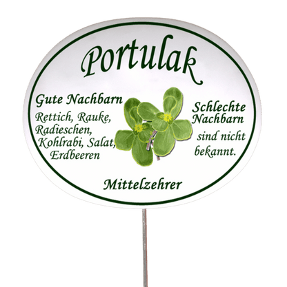 Gemüseschild zum Stecken (verschiedene Motive)
