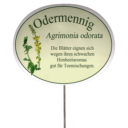 Kräuterschild mit Beschreibung (verschiedene Motive)