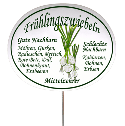 Gemüseschild zum Stecken (verschiedene Motive)