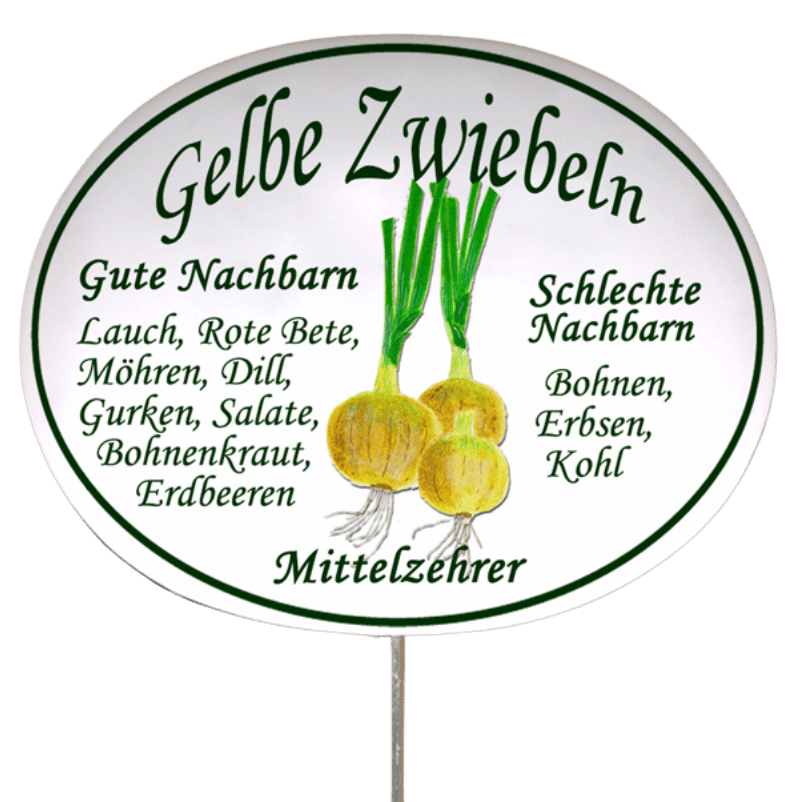 Gemüseschild zum Stecken (verschiedene Motive)