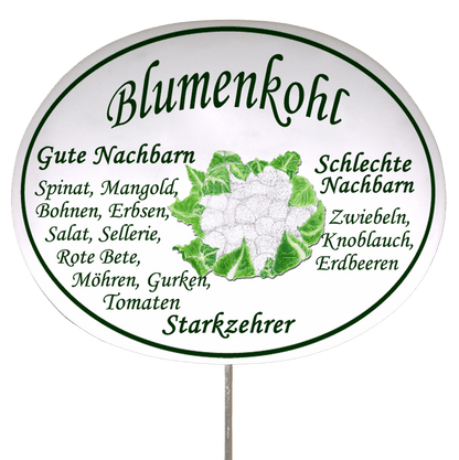 Gemüseschild zum Stecken (verschiedene Motive)