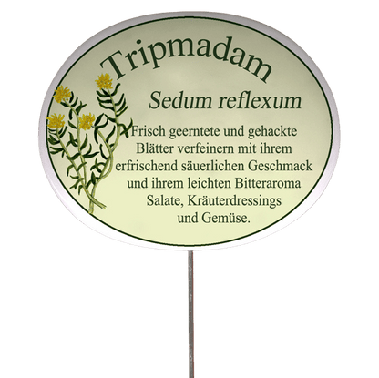 Kräuterschild mit Beschreibung (verschiedene Motive)
