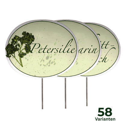 Kräuterschild mit Pflanzenskizze (verschiedene Motive)