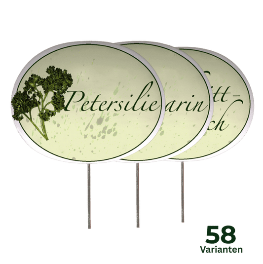 Kräuterschild mit Pflanzenskizze (verschiedene Motive)