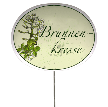 Kräuterschild mit Pflanzenskizze (verschiedene Motive)