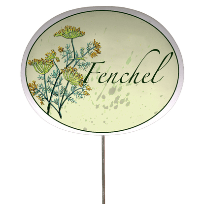 Kräuterschild mit Pflanzenskizze (verschiedene Motive)