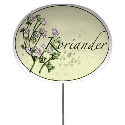 Kräuterschild mit Pflanzenskizze (verschiedene Motive)