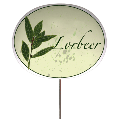Kräuterschild mit Pflanzenskizze (verschiedene Motive)