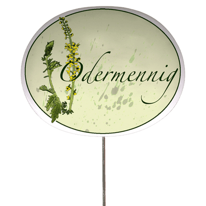 Kräuterschild mit Pflanzenskizze (verschiedene Motive)