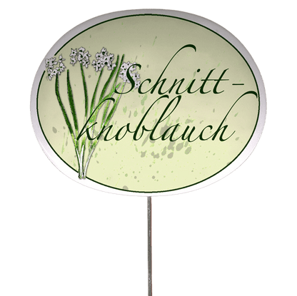 Kräuterschild mit Pflanzenskizze (verschiedene Motive)