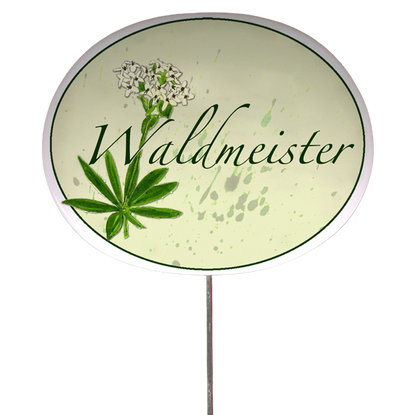 Kräuterschild mit Pflanzenskizze (verschiedene Motive)