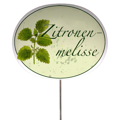 Kräuterschild mit Pflanzenskizze (verschiedene Motive)