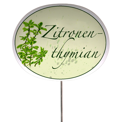 Kräuterschild mit Pflanzenskizze (verschiedene Motive)