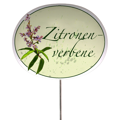 Kräuterschild mit Pflanzenskizze (verschiedene Motive)
