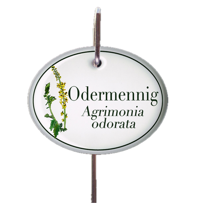 Kräuterschild zum Aufhängen (verschiedene Motive)