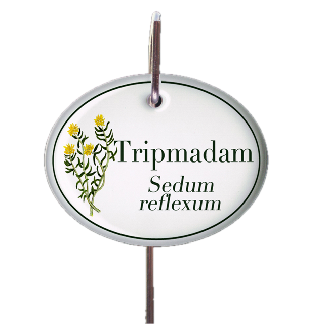 Kräuterschild zum Aufhängen (verschiedene Motive)