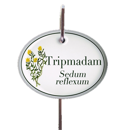 Kräuterschild zum Aufhängen (verschiedene Motive)